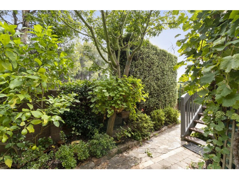 33 Hallen Close, Phillip ACT 2606