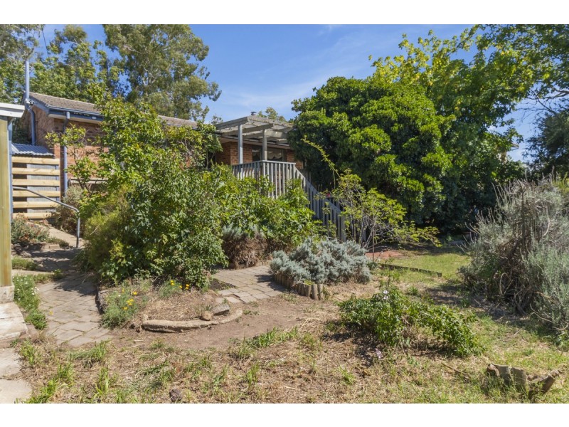 56 Investigator Street, Red Hill ACT 2603