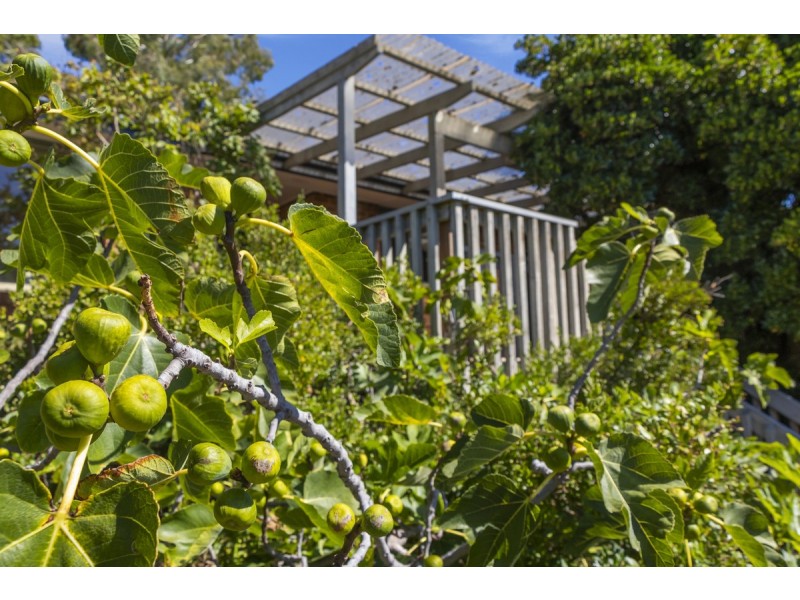 56 Investigator Street, Red Hill ACT 2603