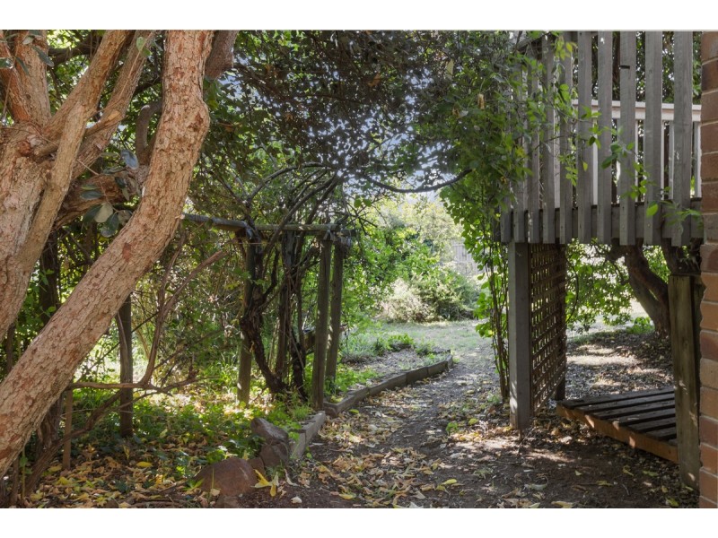 56 Investigator Street, Red Hill ACT 2603