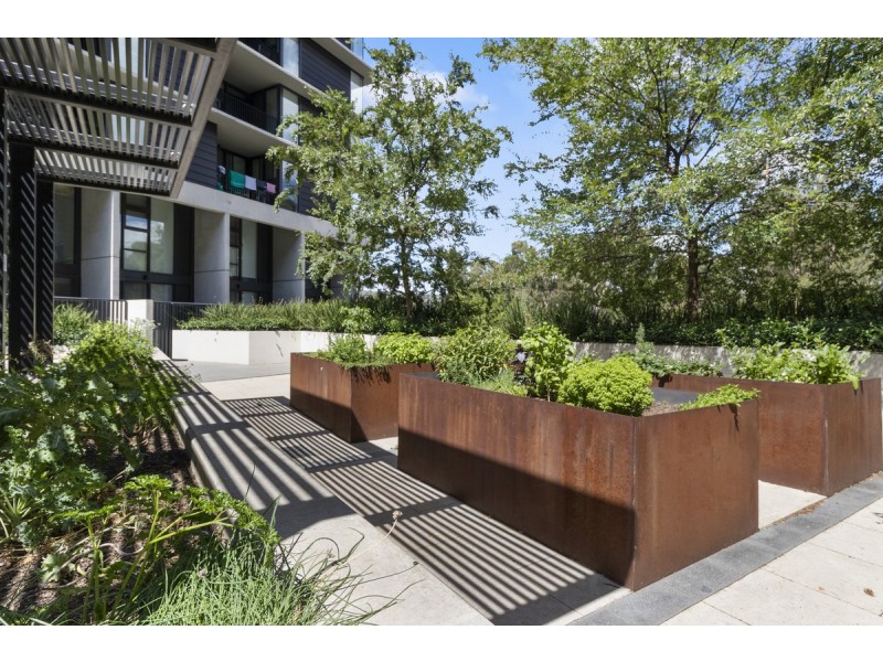 41/2 Veryard Lane, Belconnen ACT 2617
