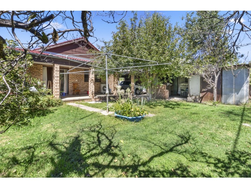 42 Nimbin Street, Narrabundah ACT 2604