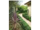 3/19 Carandini Street, Melba ACT 2615