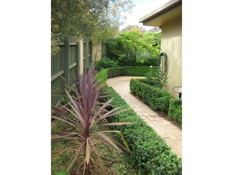 3/19 Carandini Street, Melba ACT 2615