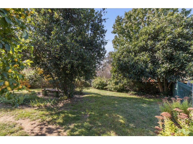60 Hicks Street, Red Hill ACT 2603