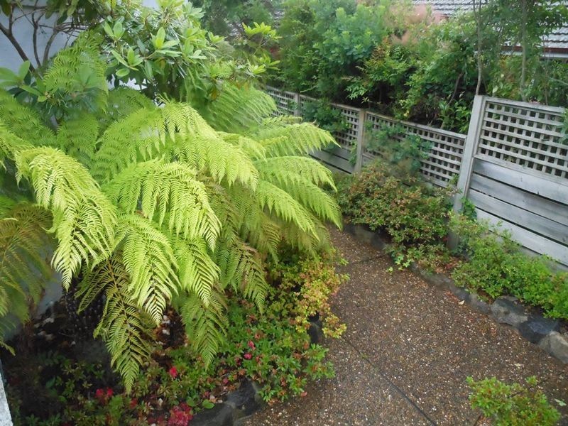 3 Roebuck Street, Red Hill ACT 2603