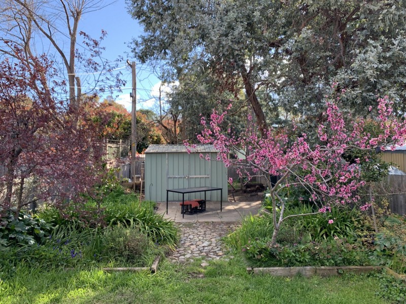 2/38 Bambridge Street, Weetangera ACT 2614