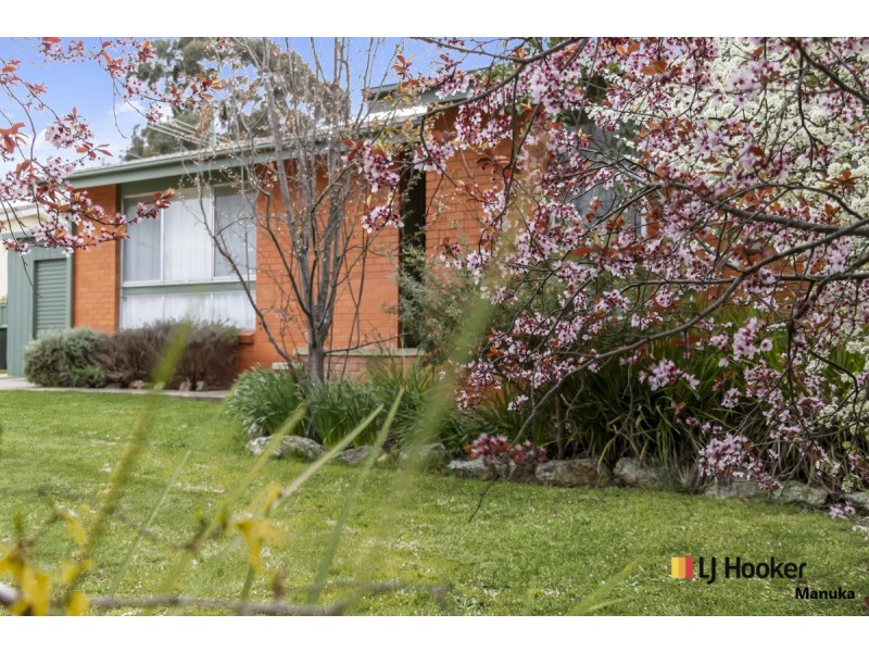 8 Watkins Street, Wanniassa ACT 2903