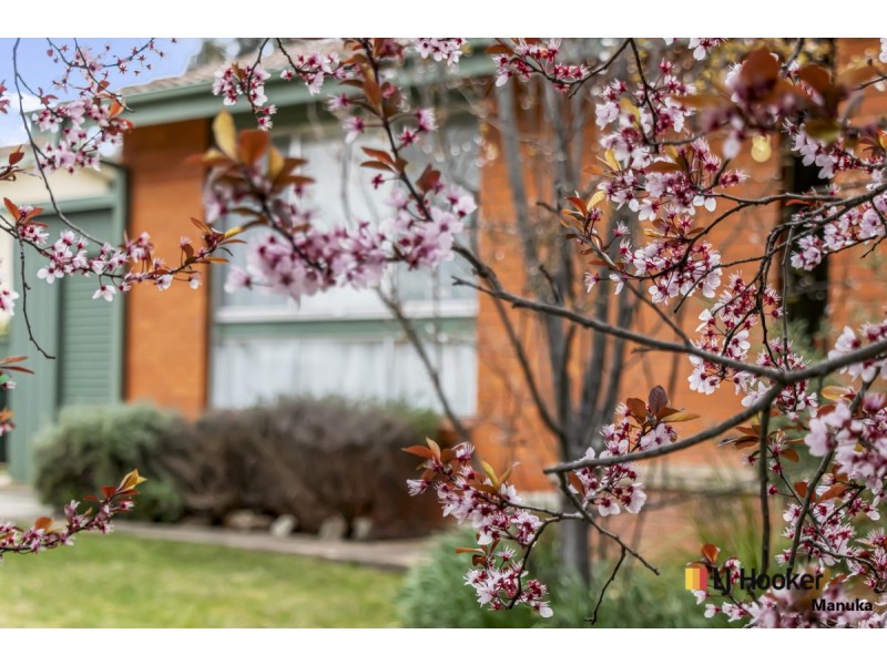 8 Watkins Street, Wanniassa ACT 2903