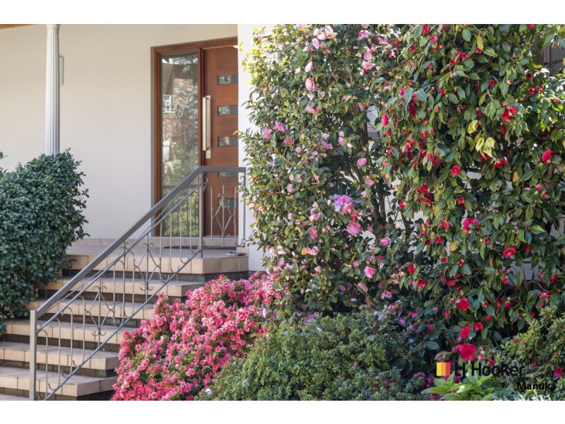 15 Steinwedel Street, Farrer ACT 2607