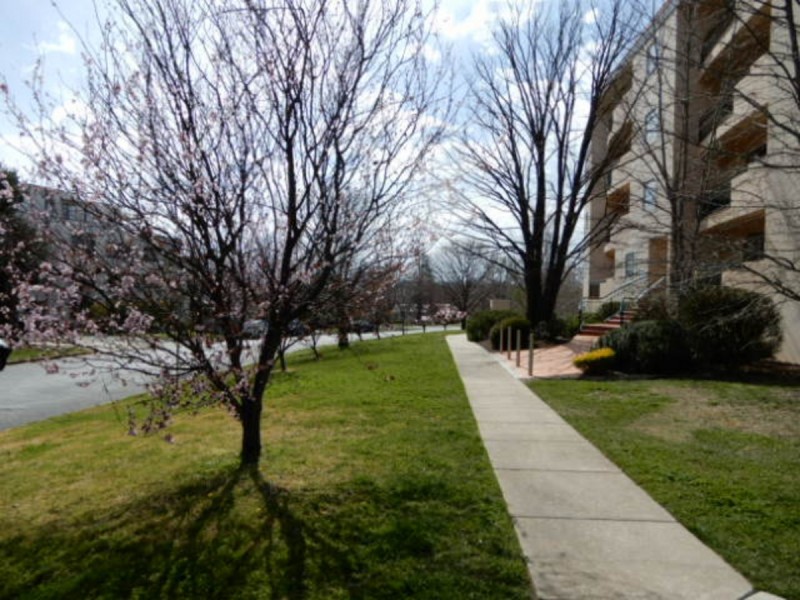 212/107 Canberra Avenue, Griffith ACT 2603