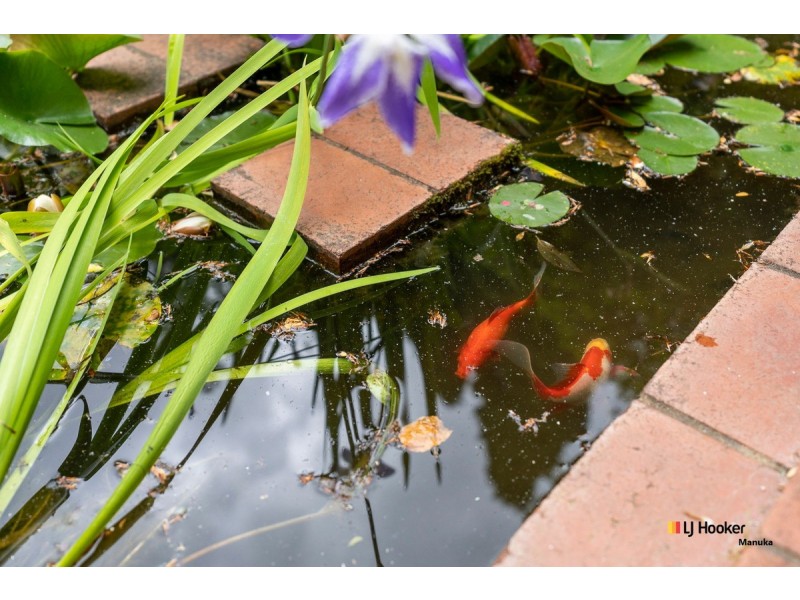 14 Arthur Circle, Forrest ACT 2603