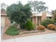 33/41 Ern Florence Street, Theodore ACT 2905