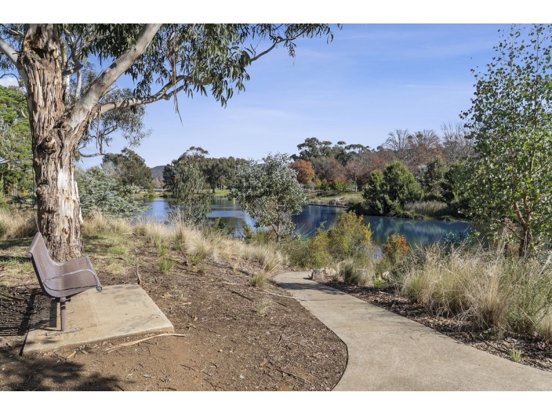 501/253 Northbourne Avenue, Lyneham ACT 2602