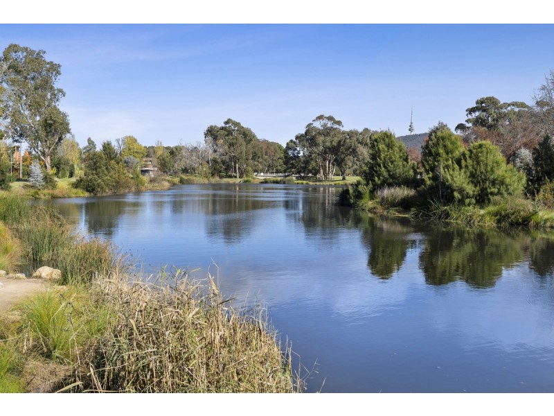 501/253 Northbourne Avenue, Lyneham ACT 2602