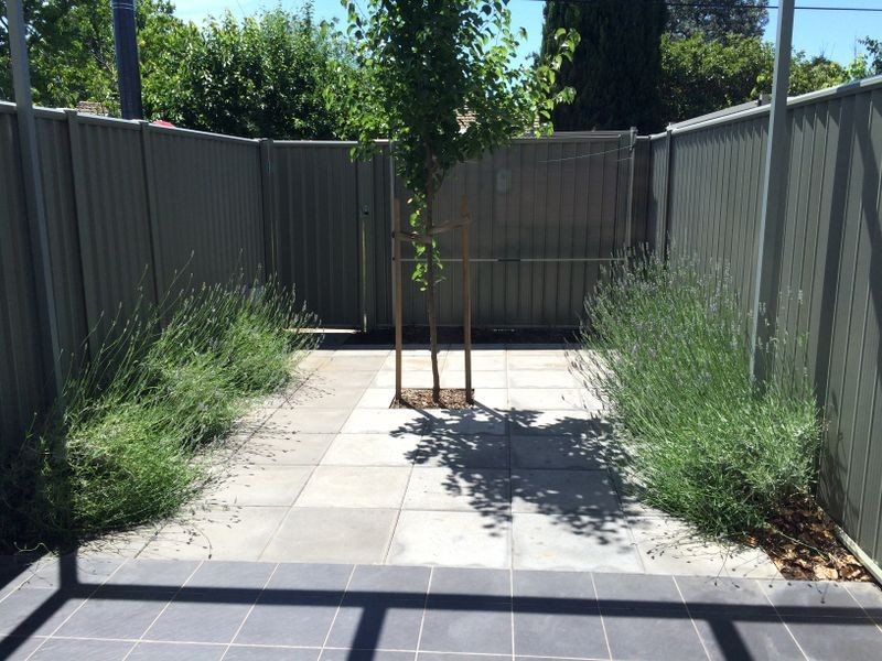 11/34 Dooring Street, Dickson ACT 2602