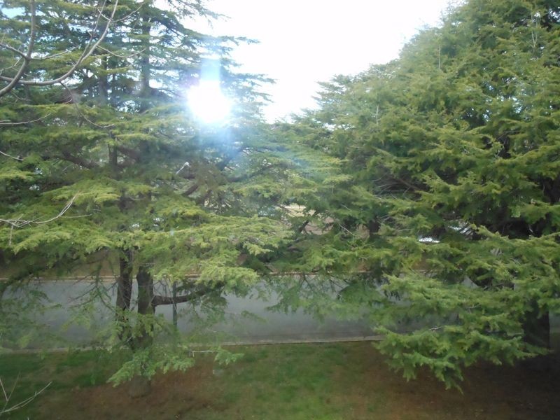 22/22 Leichhardt Street, Griffith ACT 2603