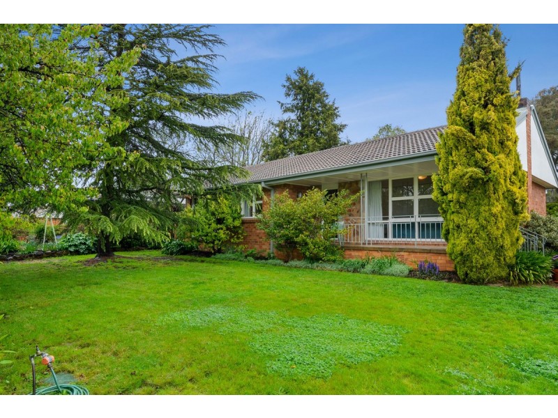 53 Carruthers Street, Curtin ACT 2605