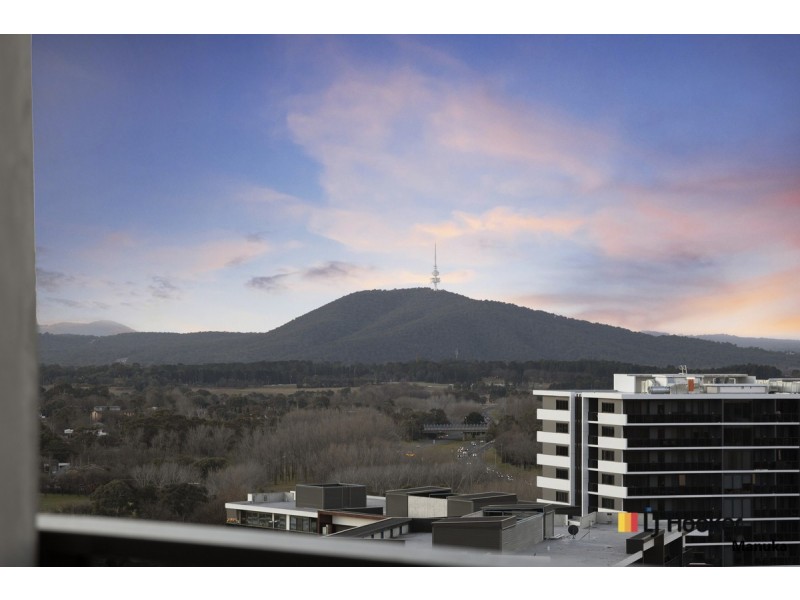 1711/2 Furzer Street, Phillip ACT 2606