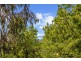 59 Investigator Street, Red Hill ACT 2603