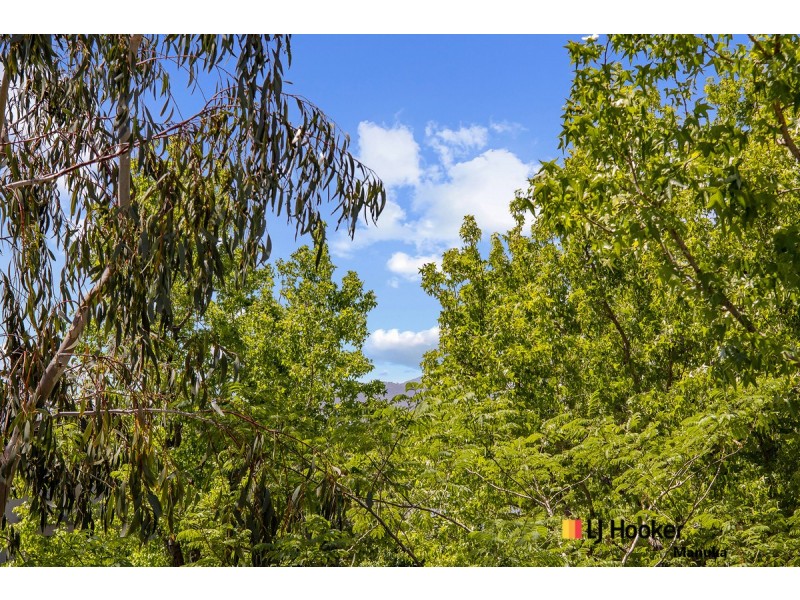 59 Investigator Street, Red Hill ACT 2603