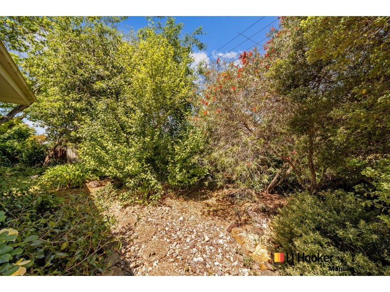 59 Investigator Street, Red Hill ACT 2603