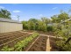 8 Mindarie Street, Narrabundah ACT 2604
