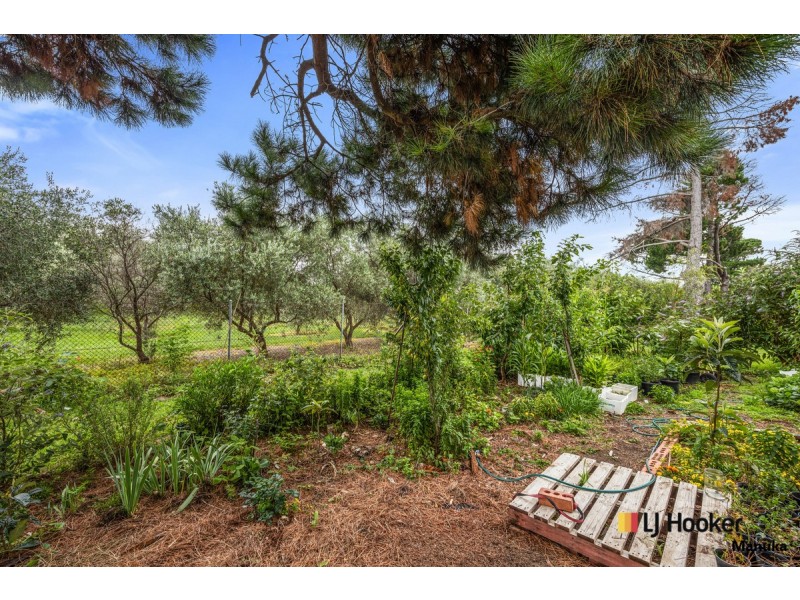 67 Banksia Drive, Symonston ACT 2609