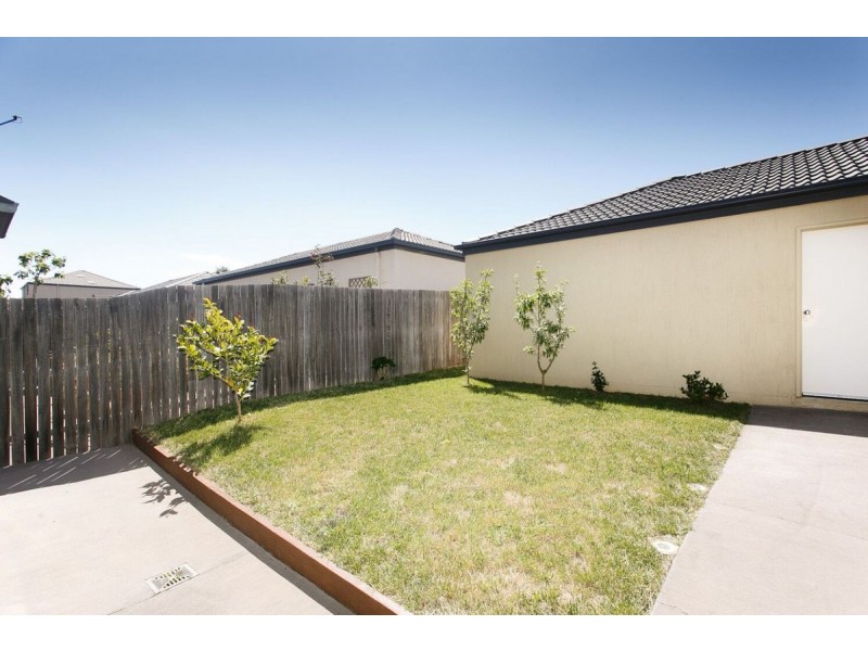 39 Hazelgrove Street, Harrison ACT 2914