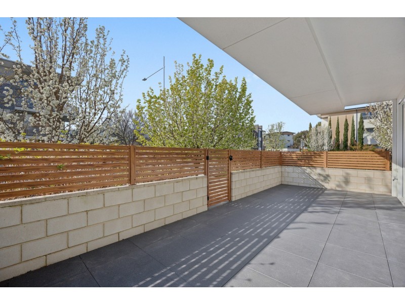 1/1 Surprize Place, Phillip ACT 2606