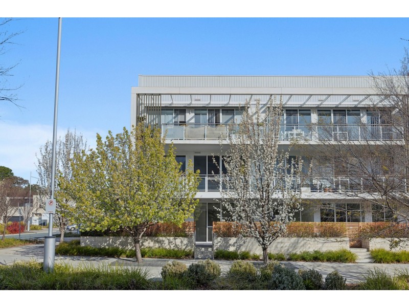 1/1 Surprize Place, Phillip ACT 2606