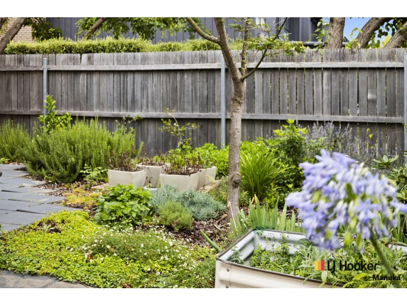 1/15 Oliver Street, Lyneham ACT 2602