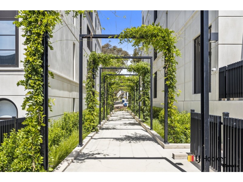 8 Cutty Sark Lane, Red Hill ACT 2603