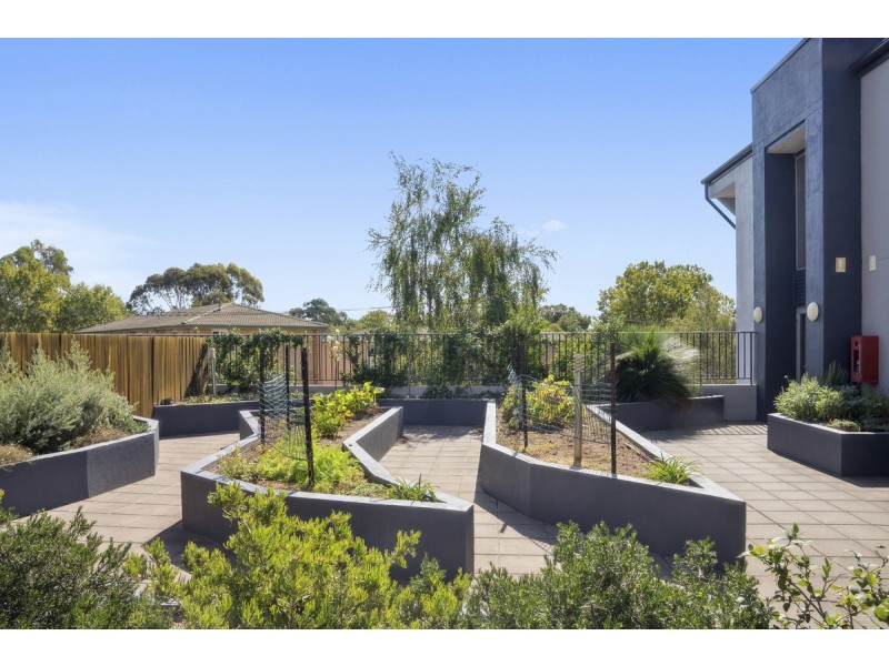 18/15 Strangways Street, Curtin ACT 2605