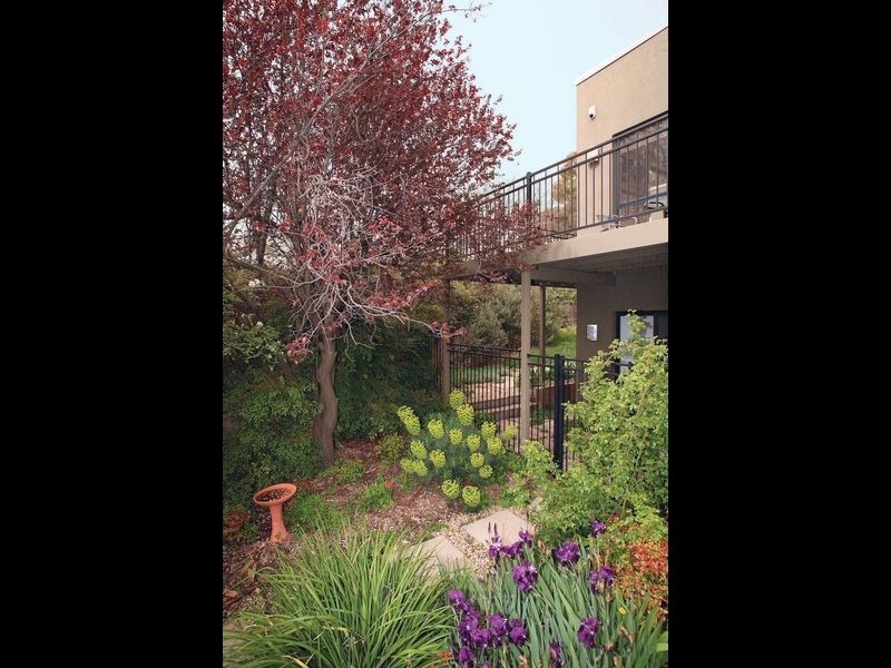 34 Bamford Street, Hughes ACT 2605