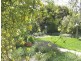 17 Patey Street, Campbell ACT 2612