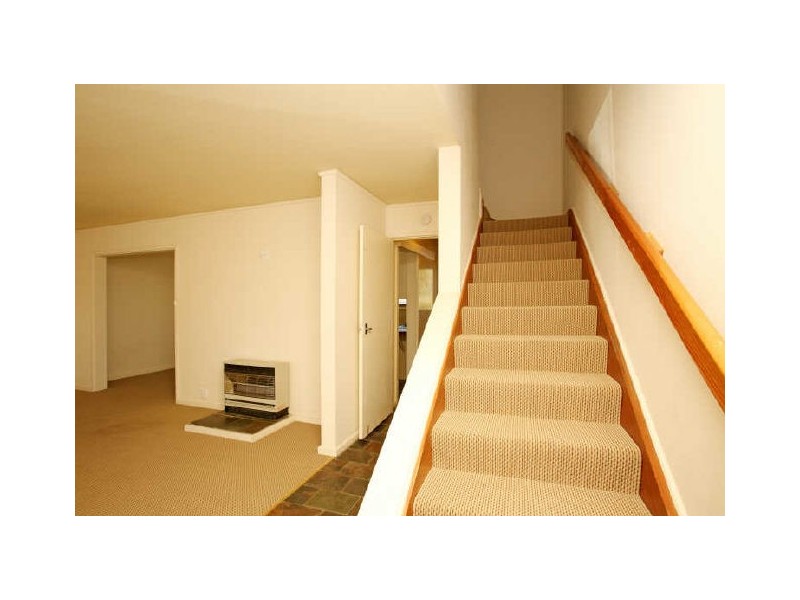 77 Theodore Street, Curtin ACT 2605