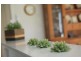 4 Osprey Street, Harrison ACT 2914