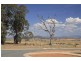 4 Osprey Street, Harrison ACT 2914