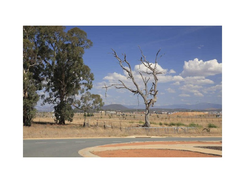 4 Osprey Street, Harrison ACT 2914