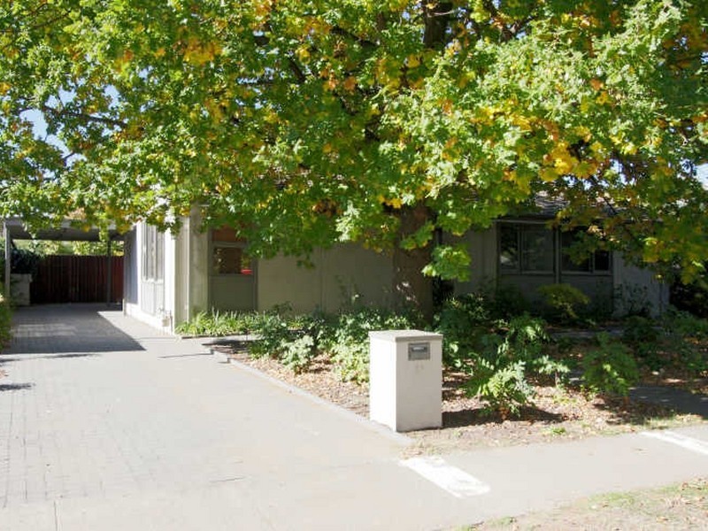 28 Wattle Street, Lyneham ACT 2602
