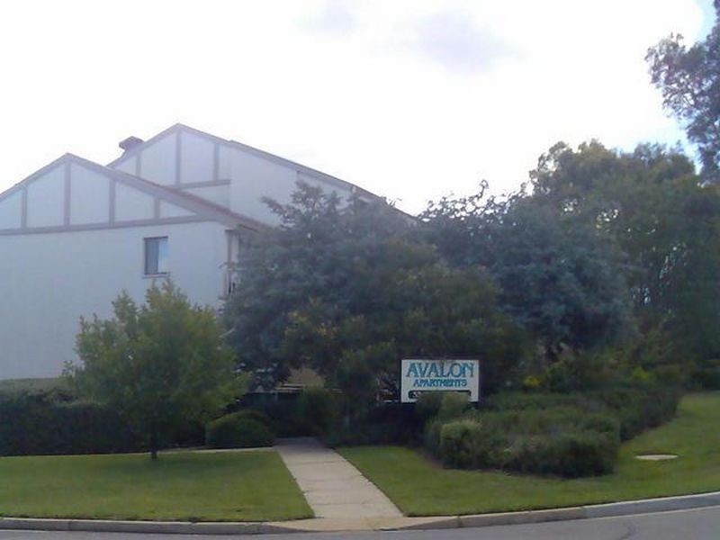 19/53 Mcmillan Crescent, Griffith ACT 2603