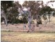 3 Binns Street, Fraser ACT 2615