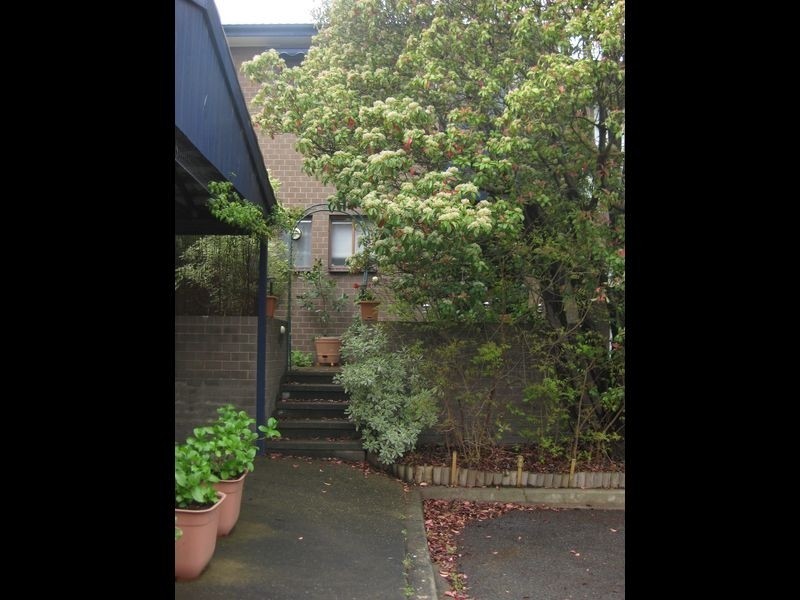 8 Sulman Place, Phillip ACT 2606