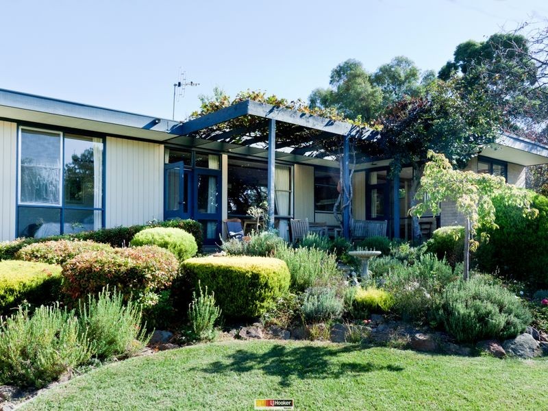 17 Jelbart Street, Mawson ACT 2607