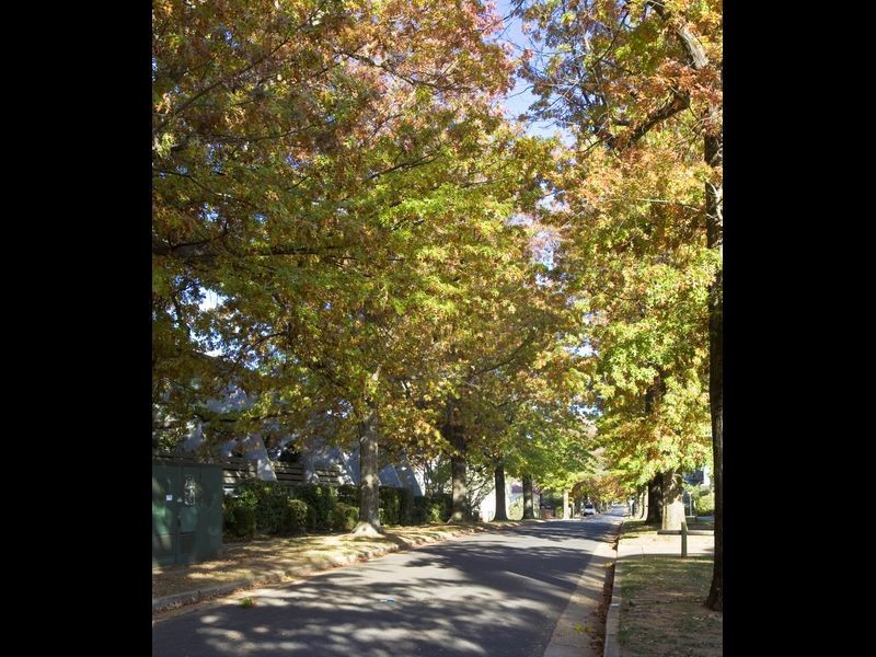 5/6 Howitt Street, Kingston ACT 2604