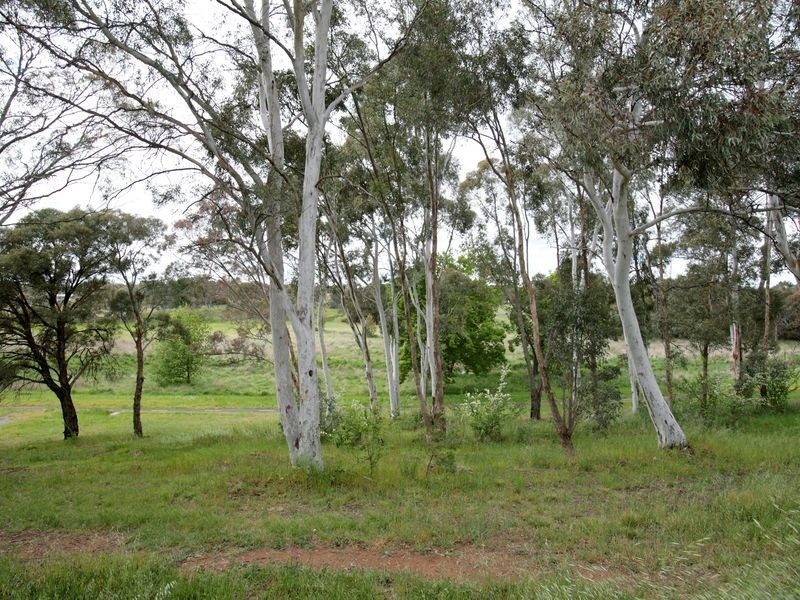 19 Traynor Circuit, Melba ACT 2615