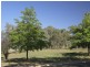 117 La Perouse Street, Narrabundah ACT 2604