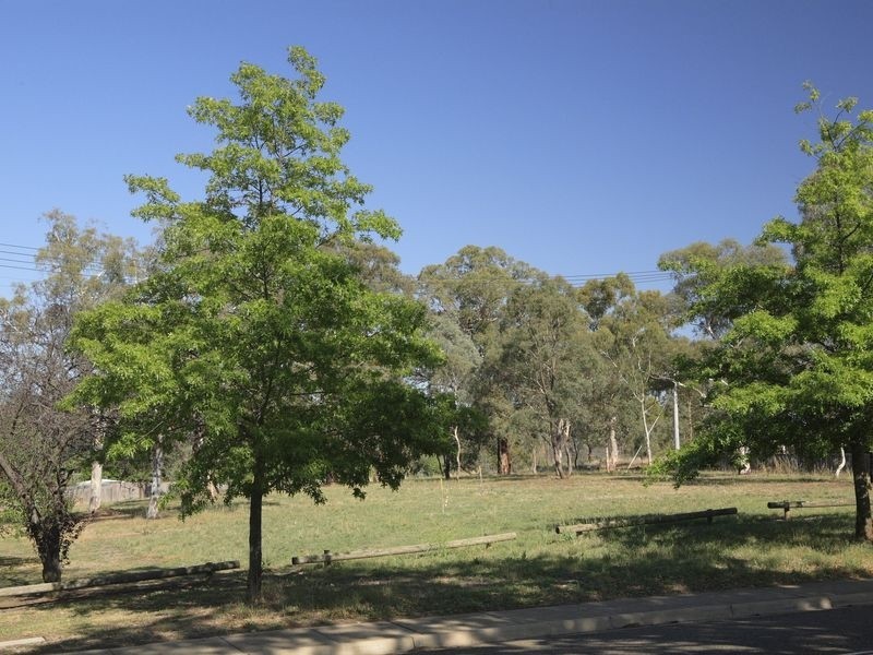 117 La Perouse Street, Narrabundah ACT 2604
