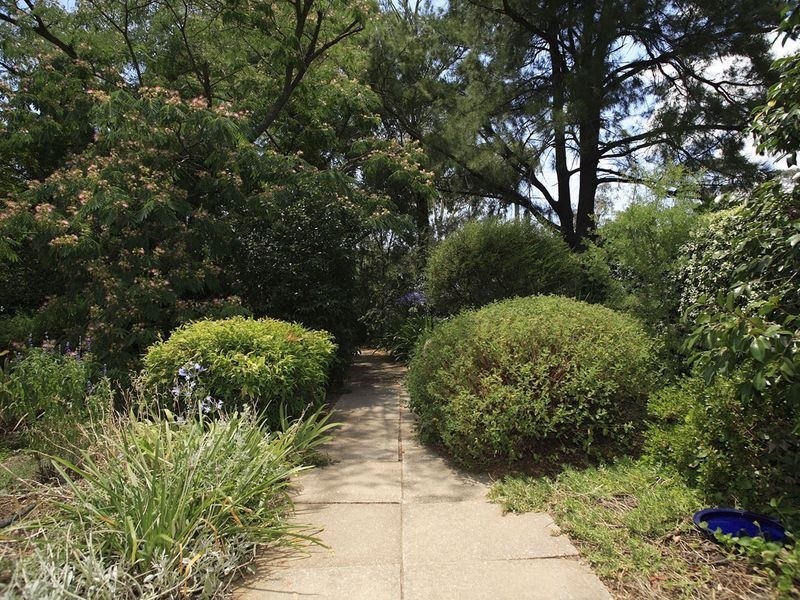 5/47 Foxall Street, Holder ACT 2611